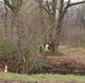 Etudiants restaurant une mare